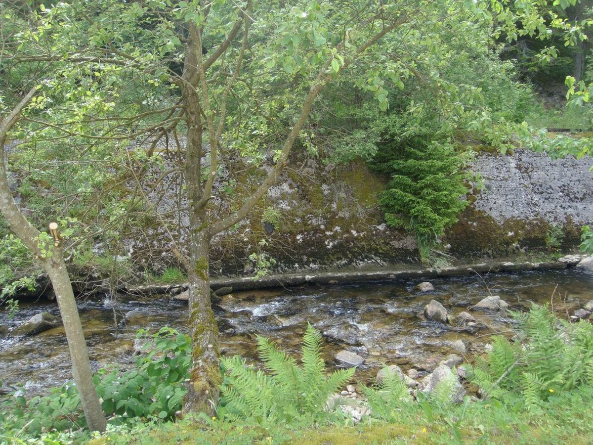 L'Idéal Gérardmer Esterno foto
